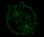 Planta 005