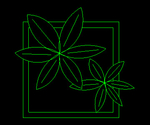 Planta 007