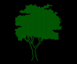 Árbol 036A
