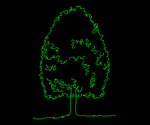 Árbol 041A