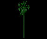 Palmera 000A