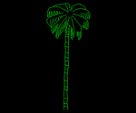 Palmera 004A