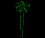 Palmera 008A
