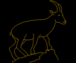 Cabra 001