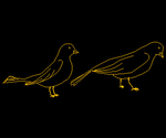 Pájaros