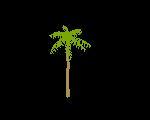 Palmera 3D 000