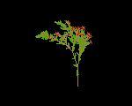 Planta 3D 002
